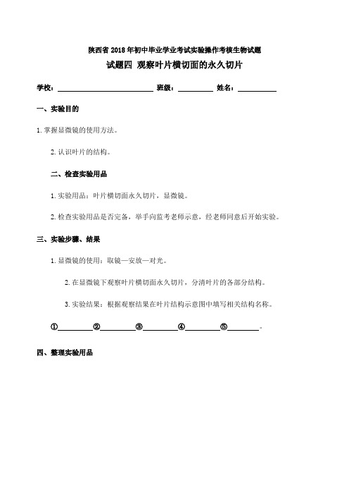 实验四  观察叶片横切面的永久切片