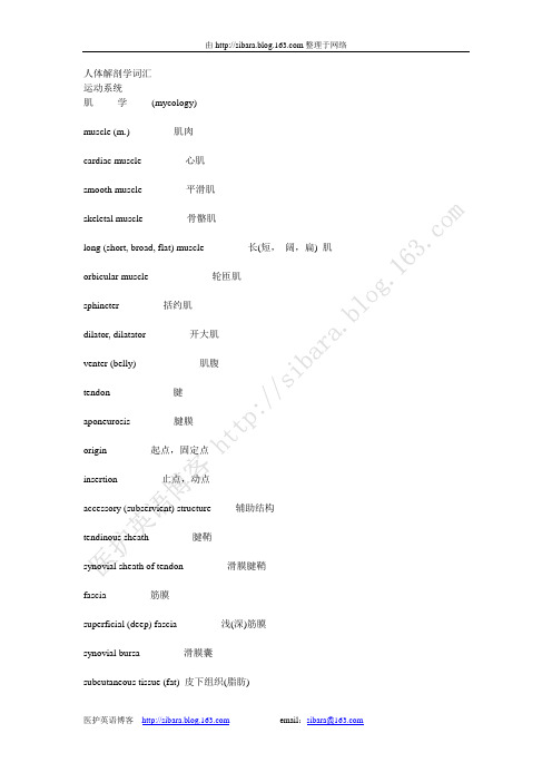 人体解剖 运动系统 肌学