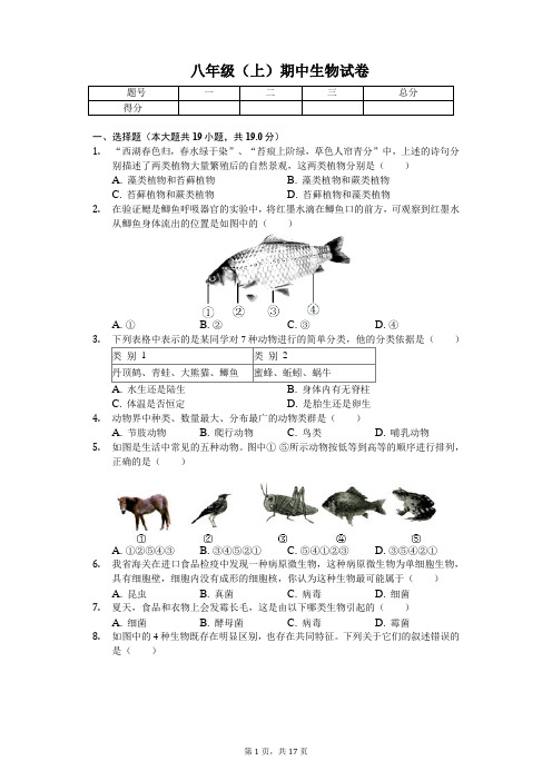 江苏省盐城市 八年级(上)期中生物试卷-(含答案)