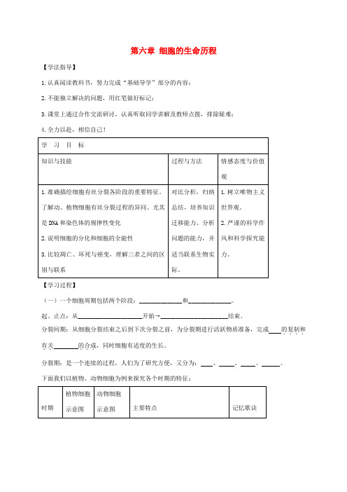 高中生物 第六章 细胞的生命历程复习学案 新人教版必修1-新人教版高一必修1生物学案