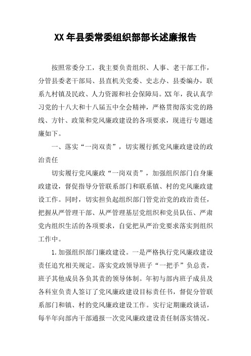 XX年县委常委组织部部长述廉报告