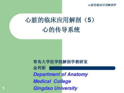 心脏的临床应用解剖(5)心传导系统