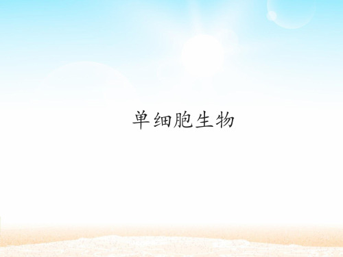 鲁科版六年级上册生物课件 2.2.2 单细胞生物(共18张PPT)