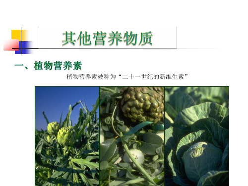 植物营养素1