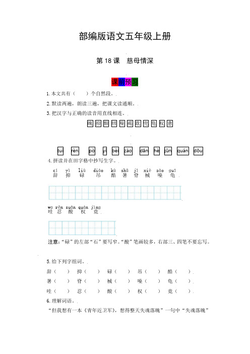 最新人教部编版小学五年级上册语文第18课《慈母情深》学霸课堂笔记及练习