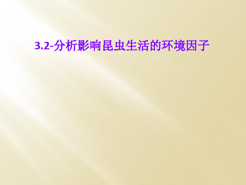 3.2-分析影响昆虫生活的环境因子