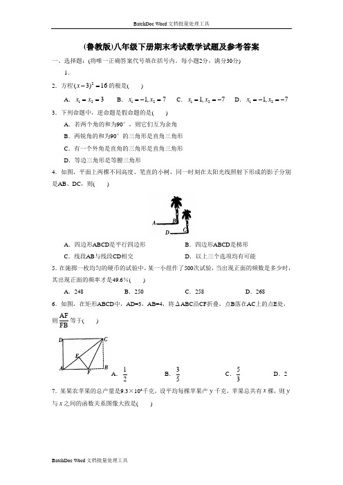 (鲁教版)八年级下册期末考试数学试题及参考答案