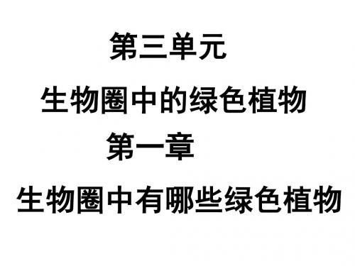 生物七年级上人教新课标3.1.1藻类、苔藓和蕨类植物 课件(共51张PPT)