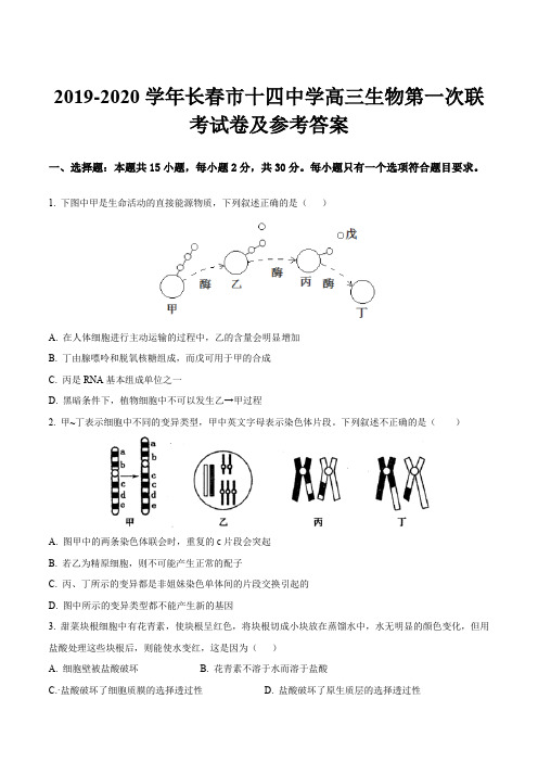 2019-2020学年长春市十四中学高三生物第一次联考试卷及参考答案