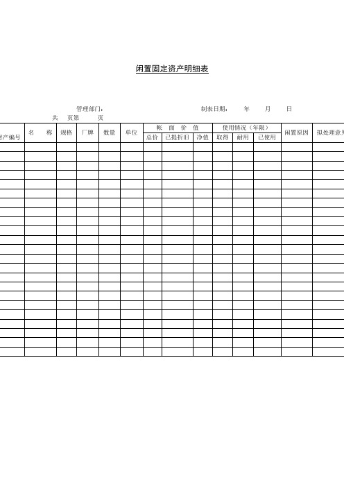 闲置固定资产明细表格式