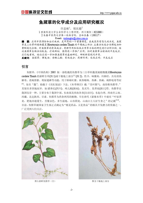 鱼腥草的化学成分及应用研究概况