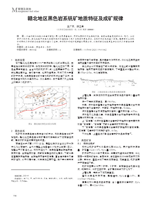 赣北地区黑色岩系钒矿地质特征及成矿规律