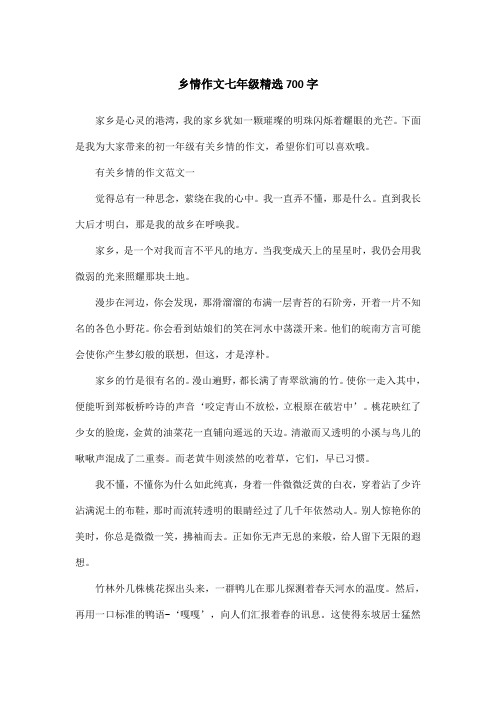 乡情作文七年级精选700字