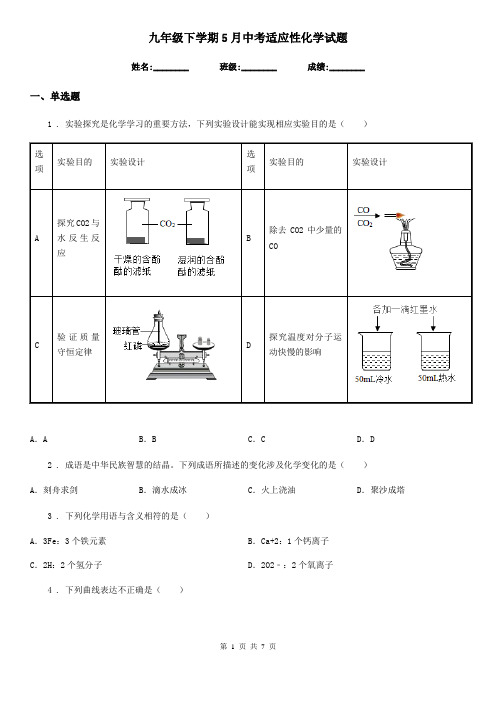 九年级下学期5月中考适应性化学试题