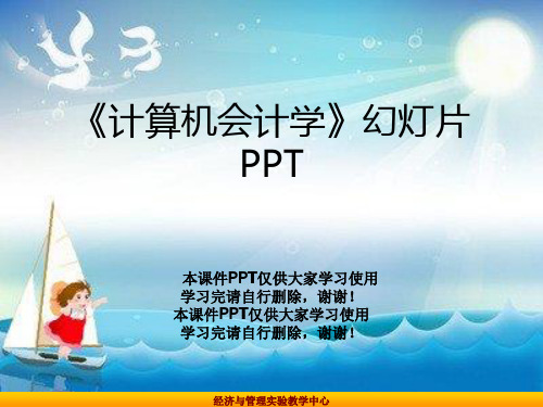 《计算机会计学》幻灯片PPT