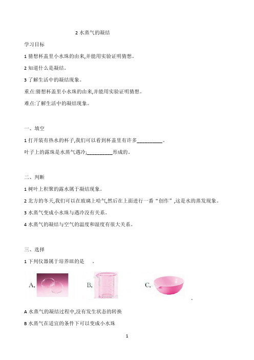 《水蒸气的凝结》优秀教学教案