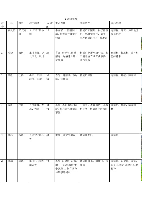 常用园林植物一览表