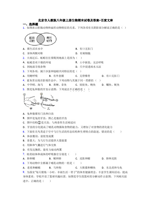 北京市人教版八年级上册生物期末试卷及答案-百度文库