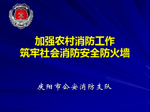 乡镇长、村两委消防知识培训