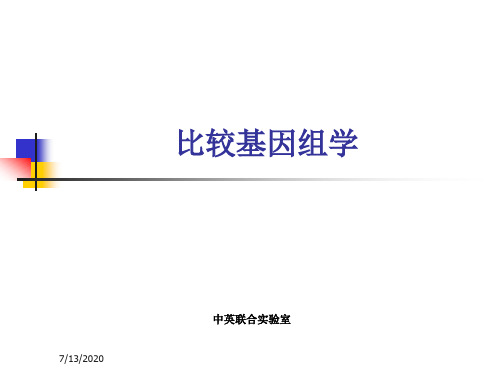 基因组学课件8比较基因组学