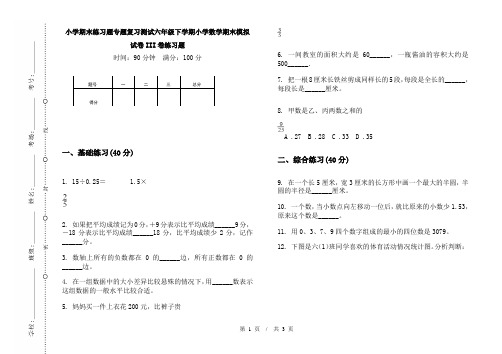 小学期末练习题专题复习测试六年级下学期小学数学期末模拟试卷III卷练习题