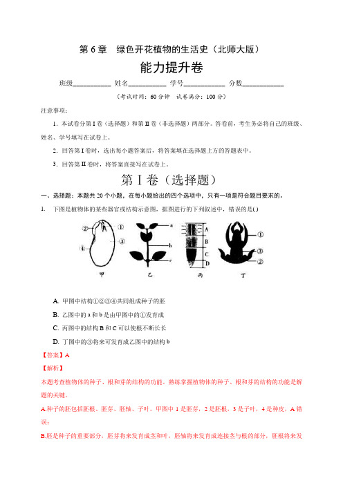 第6章 绿色开花植物的生活史(能力提升)七年级生物上册单元测试(北师大版)(解析版)