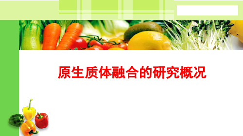 14.10原生质体融合的研究概况