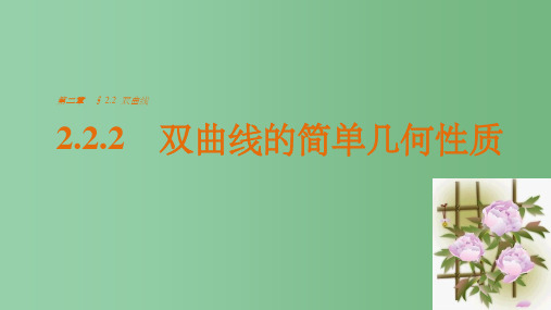 高中数学 第2章 圆锥曲线与方程 2.2.2 双曲线的简单几何性质 新人教A版选修1-1