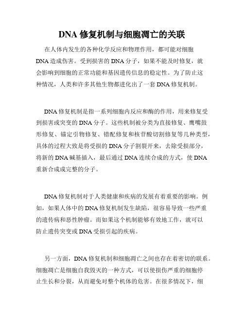 DNA修复机制与细胞凋亡的关联