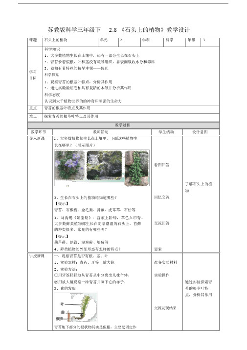 新教材苏教版科学三年级下2.8《石头上的植物》教案.docx