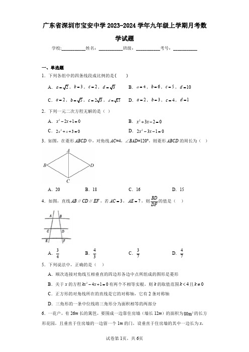 广东省深圳市宝安中学2023-2024学年九年级上学期月考数学试题