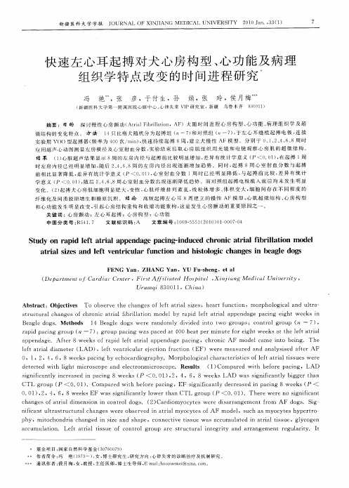 快速左心耳起搏对犬心房构型、心功能及病理组织学特点改变的时间进程研究