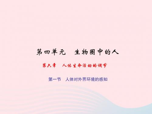 七年级生物下册第四单元第六章第一节人体对外界环境的感知习题课件(新版)新人教版