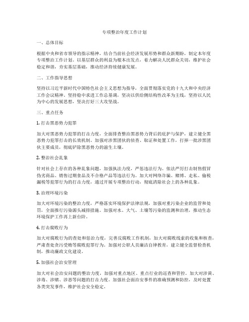 专项整治年度工作计划