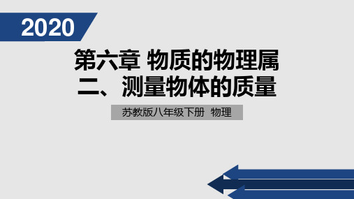 苏科版八年级物理下《6.2测量物体的质量》 课件(共19张PPT)