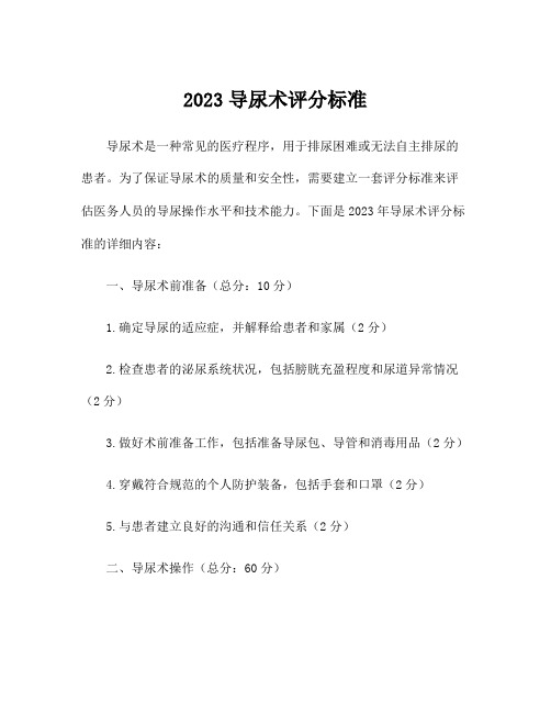 2023导尿术评分标准