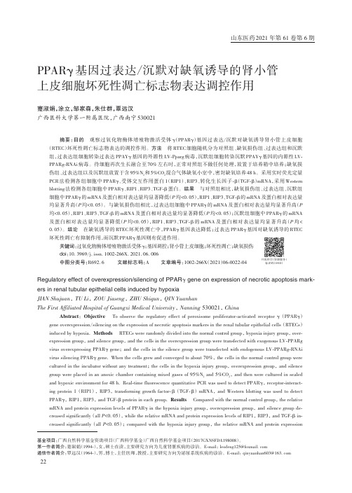 PPARγ基因过表达沉默对缺氧诱导的肾小管上皮细胞坏死性凋亡标志物表达调控作用