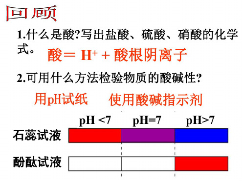 第三节探索酸的性质--浙教版