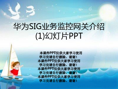 华为SIG业务监控网关介绍(1)幻灯片PPT