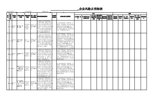 企业风险点明细表附件2