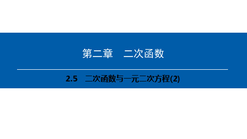 第二章 2.5 二次函数与一元二次方程(2)