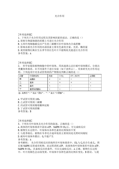 光合作用