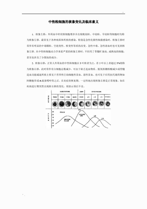 中性粒细胞的核象变化及临床意义