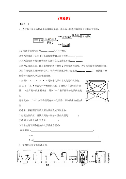 2016年中考化学专项训练《压轴题》