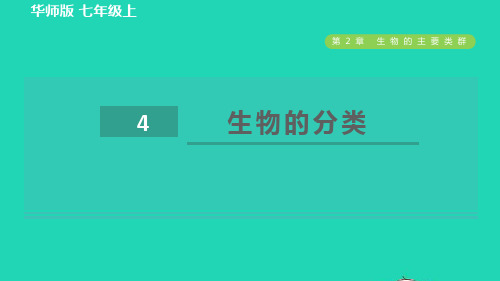 七年级科学上册第2章生物的主要类群4生物的分类习题新版华东师大版