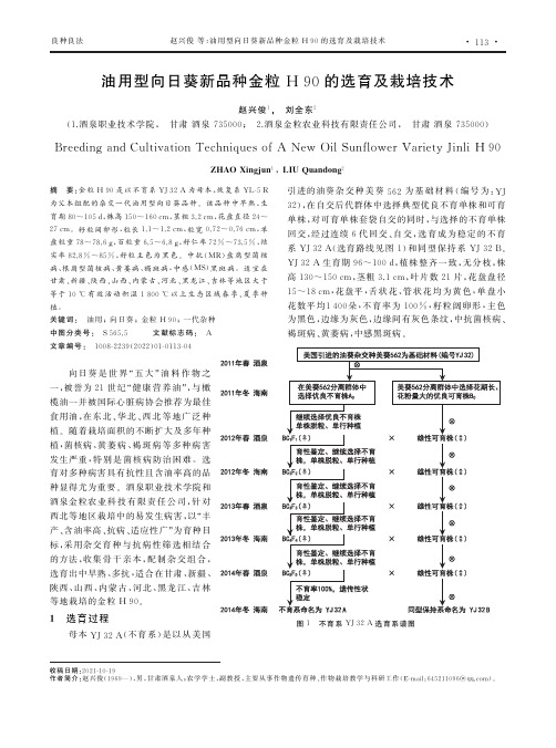 油用型向日葵新品种金粒H90的选育及栽培技术