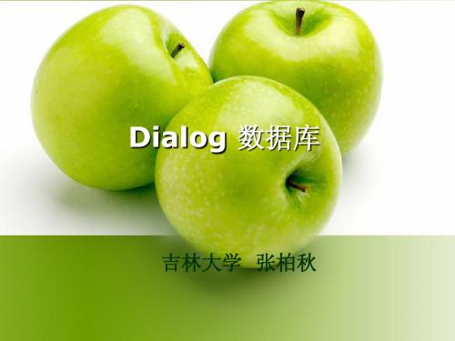 Dialog数据库讲稿