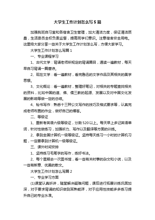 大学生工作计划怎么写5篇