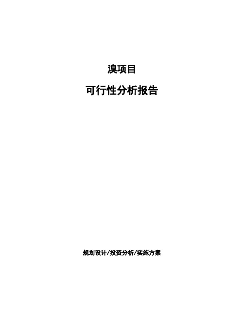 溴项目可行性分析报告