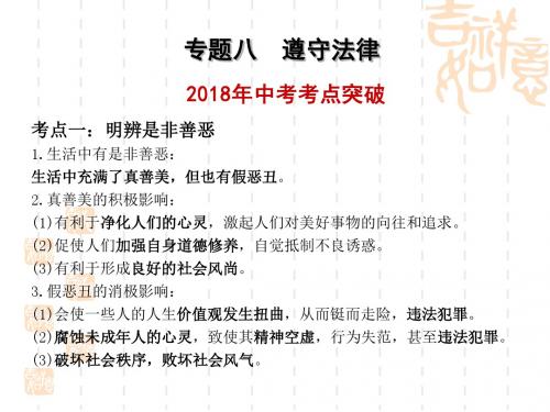 2018年中考政治总复习——专题八   遵守法律